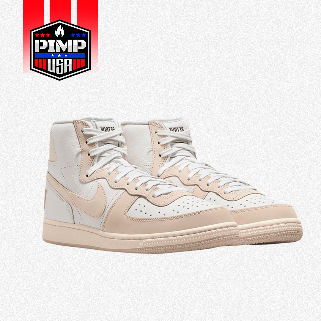 Zapatillas Nike Terminator High Bt